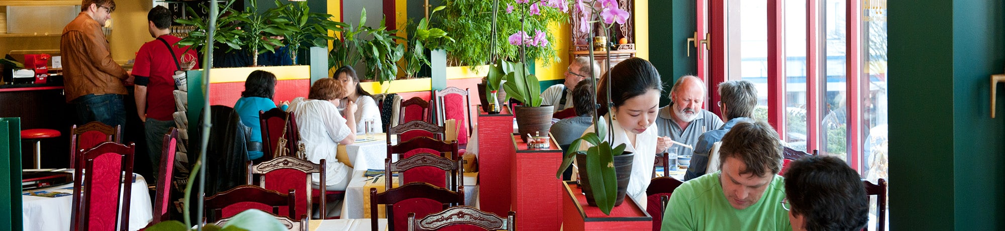 wetzikon vietnamesisches restaurant